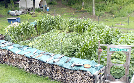 Four foot high stacked firewood covered with green plastic tarp that was "turned upwards toward the south" on Tuesday morning, July 13, as if it had been raised somehow. It had been flat. Photograph © 2004 by David W. Harple, The New-Times.