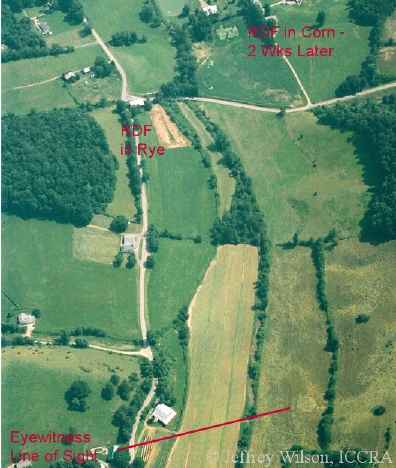 Red line points at Leicester, North Carolina, 4-circle pattern 2-weeks-old, from point-of-view of landowners and eyewitnesses who saw bright, white light, on June 21, 2005. Above is the rye grass triangle field that's flattened. To the upper right is the square flattened area in corn. Aerial photograph © 2005 by Jeffrey Wilson, ICCRA.