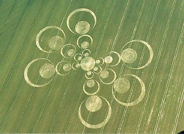 Thirty-seven circles discovered in young wheat below the Ridgeway at Ogbourne St. George, Wiltshire, England, on Sunday, June 15. Aerial photograph © 2003 by Lucy Pringle.