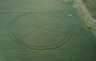 Manmade pattern reported on September 9, 2003, near the ancient Seip Mound in Bainbridge, Ohio. Aerial photograph © 2003 by Roger Sugden and Jeffrey Wilson.