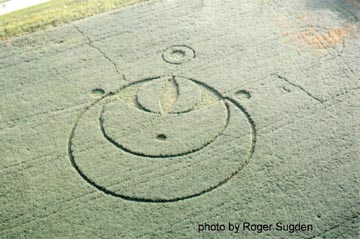 Crop formation investigator, Roger Sugden, flew to photograph the soybean pattern on the morning of Friday, August 29, 2003, five days after it was reported. By then, paths had been made by the farm owner and researchers Jeffrey Wilson and Ted Robertson. But the farmer said there were no paths or tracks in or around the formation when he first investigated on August 27, 2003. Aerial photograph © 2003 by Roger Sugden.