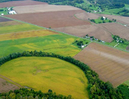 The circle of dense trees grow along the water of Paint Creek, Ross County near Bainbridge, Ohio, as it flows around the soybean field in which the three-armed pattern was created by downed, woven and standing crops. Aerial photograph © 2003 by Jeffrey Wilson.