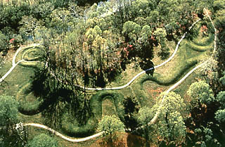 Photograph of ancient Serpent Mound near Locust Grove and Peebles, Ohio. Mound is 800 meters long (.5 miles) and its construction is placed around 800 A.D. Soybean formation was 3,000 feet ( a little more than a half mile) to the east of the serpent's tail shown at left of photo. Image courtesy Wright State University.