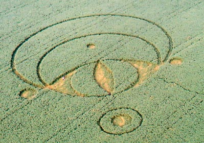 Serpent Mound soybean formation first discovered August 24, 2003, was 271 feet from top of large ring to bottom of small, ringed circle, all oriented east to west. The diameter of the "Eye" in the Vesica Piscis was 74 feet. Aerial photograph © 2003 by Jeffrey Wilson and Roger Sugden.