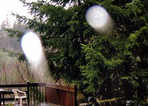 Orbs moving rapidly against static yard scene. Image © by Miceal Ledwith, D.D.