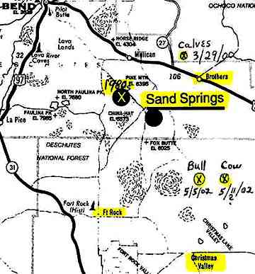 Most recent July 2002 cow mutilation 6 miles east of May 11th cow marked with X on map.  The May 11, 2002 mutilated cow was found six miles from the May 5, 2002 mutilated bull. Brothers, Oregon is where a eight dead calves were found bloodlessly skinned on March 18 and 19, 2000. It's also where fourteen dead calves and a pig with its legs cut off were found in March 1999. The circled X marks the area where eyewitness Dwain Wright saw mutilated bull and where a cowboy described having seen glowing discs that lifted cattle up in glowing beams and dropped them back down through the trees in late 1970s to early 1980s.