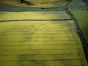 Vesica Pisces variation discovered in very wet field of flowering oil seed rape at Icknield Way, near Pegsdon, Hertfordshire. Estimated length, 300 to 400 feet. Aerial photograph © 2004 by Andrew King.