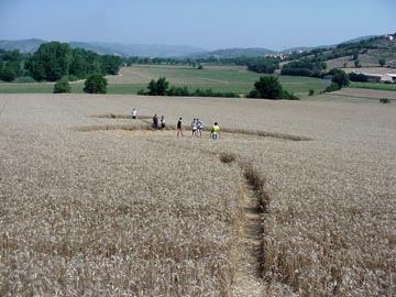Dumbbell pattern, Italy's sixteenth crop formation, in solid wheat field without tramlines, discovered on June 26, 2003 in Fornacette near Pisa in central western Italy. Photographs © 2003 by Adriano Forgione.