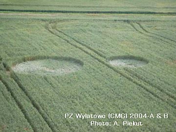 Two circles of 6 and 9.5 meters in their diameters reported in Wylatowo, Poland, wheat field on July 5, 2004. All photographs © 2004 by Adam Piekut.