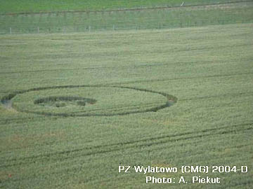 Another part of the formation consisted of a ring around a circle surrounding tufts of standing wheat. The ring measured 18.5 meters in diameter and the circle measured 7 meters in diameter.