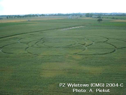 Twelve rings, each measured 12 meters in diameter and the ring lines were one meter wide, in the same wheat field with the two circles above and "dotted" ring below.