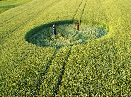 About 1 kilometer from the rye formation in a neighbor's wheat field was this circle, about 15 meters (49 feet) in diameter. Photograph © 2005 by IRG Torun.