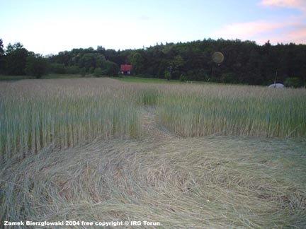 Pictogram in tall meadow grass reported on June 13, 2004, in Zamek, Poland. Photographs © 2004 by IRG Torun. 