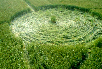 Center of Zlotowo, Poland wheat pattern examined on June 13, 2005. Photograph © by IRG Torun.