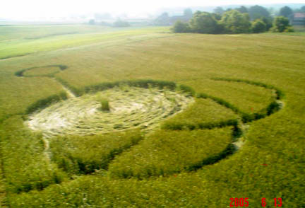 Zlotowo, Poland wheat pattern examined on June 13, 2005. Photograph © by IRG Torun.