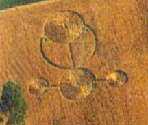1998 Port Washington, Wisconsin, pictogram in barley. Aerial photograph © 1998 by Jeffrey Wilson.