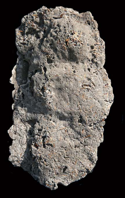 August 2005, another large and deep footprint at the northern Cascade mountain camp site where a rock had been mysteriously raised on end and stuck into the ground. Photograph © 2005 by Richard Noll.