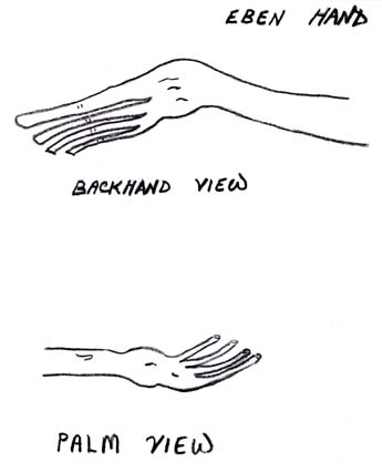 Sketch from memory of EBEN hand, back and palm views, that include oddly angled "suction cup" finger tips. Drawn on March 16, 2006, for Earthfiles © 2006 by Thomas C. Sheppard.