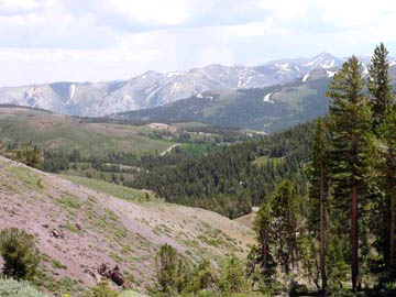 Marine Corps Training Camp is located near Sonora Pass, California, about 25 miles east of Mark Olson's apartment. Photograph courtesy Mark Olson.