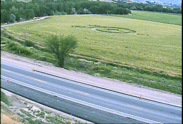 Barley field in Spanish Fork, Utah, where pictogram of four rings was first seen by farm owner's son on Saturday evening, June 26, 2004. Photograph © 2004 by Ella Huff.