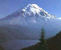 Mount St. Helens's May 18, 1980, volcanic eruption changed (left) 200 square miles of rich forest into a (right) grey, lifeless landscape. Photo courtesy of Darrell Jennings.