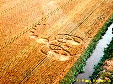 "Scorpion" crop formation in wheat discovered August 1, 2001 in Stadskanaal, Holland. Eight circles are clearly seen in the "tail." A ninth circle merged on August 7, 2001 while researchers were measuring and sampling plants from the formation. Aerialphotograph © 2001 by Hans Hesselink.