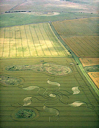 Huge, delicate formation reported on July 4, 2002 near Stonehenge in the background. Measured over 700 feet in diameter in young wheat. Inner geometry is similar to the July 4, 1999 spiral formation at Hackpen Hill. Aerial photograph © 2002 by Steven Alexander. Also see http://www.cropcircleconnector.com.
