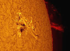 Left: Giant sunspot 720 erupted for seventh time on Jan. 20, 2005, unleashing a powerful X 7-class solar flare. The blast hurled a coronal mass ejection (CME) into space and sparked the strongest radiation storm since October 1989. Jack Newton of Arizona photographed the sunspot rotating toward the sun's limb and other side on Jan. 19th. Right: Bright auroras spread across northern Europe on January 21st soon after 720's coronal mass ejection crashed into Earth's magnetic field. The result was a spectacular aurora display over Europe. Jim Henderson photographed the vivid red and yellow light near Aberdeen, Scotland. 