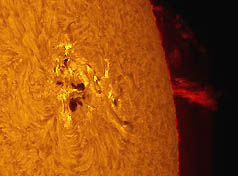Left: Giant sunspot 720 erupted for seventh time on Jan. 20, 2005, unleashing a powerful X 7-class solar flare. The blast hurled a coronal mass ejection (CME) into space and sparked the strongest radiation storm since October 1989. Jack Newton of Arizona photographed the sunspot rotating toward the sun's limb and other side on Jan. 19th. Right: Bright auroras spread across northern Europe on January 21st soon after 720's coronal mass ejection crashed into Earth's magnetic field. The result was a spectacular aurora display over Europe. Jim Henderson photographed the vivid red and yellow light near Aberdeen, Scotland.