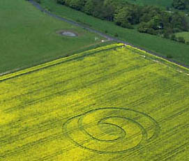 Reported May 9, 2004, on Tegdown Hill, Patcham near Brighton, East Sussex. Photo on right shows one of the "magically bent" plants flat to the ground, but without crease, crack or break - one of the several documented anomalies in the crop circle phenomenon.Aerial photograph © 2004 by David Russell.