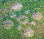 Top:  May 15, 2007, Madisonville, Tennessee, wheat pattern about 170 feet in diameter with crop laid down in counterclockwise circles and a triangle in the center circle of standing wheat. Aerial image © 2007 by Mark Boring, Monroe County Buzz. For more information, see 2007 Earthfiles.   Bottom: May 16, 2011, Madisonville, TN, pattern in same wheat field as the May 15, 2007, formation. Aerial image © 2011 by Mark Boring, Monroe County Buzz.