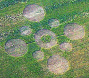 Top: May 15, 2007, Madisonville, Tennessee, wheat pattern about 170 feet in diameter with crop laid down in counterclockwise circles and a triangle in the center circle of standing wheat. Aerial image © 2007 by Mark Boring, Monroe County Buzz. For more information, see 2007 Earthfiles. Bottom: May 16, 2011, Madisonville, TN, pattern in same wheat field as the May 15, 2007, formation. Aerial image © 2011 by Mark Boring, Monroe County Buzz.