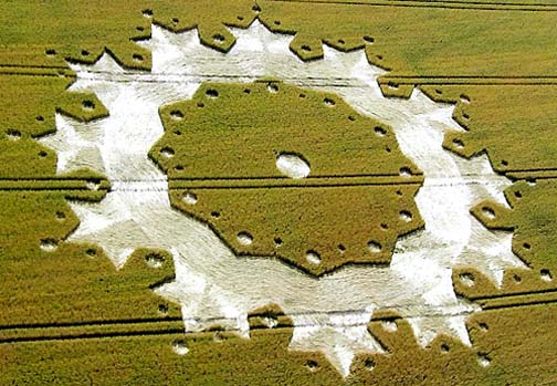 "Fractal snowflake" reported in wheat at Boxley, near Maidstone, Kent, southeast of London, on July 8, 2006; about 250 feet in diameter. Aerial image © 2006 by Andrew Fowlds.