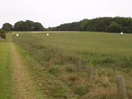 Computer-generated white objects placed by Mike Booth against one of his actual Boreham Down wheat field photographs to illustrate what he saw at 6:30 p.m. on June 21, 2005, from his bike. Image © 2005 by Mike Booth.