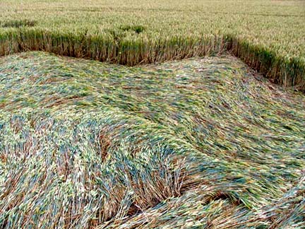 Liquid flow of wheat in the Boxley "fractal snowflake." Image © 2006 by William Betts.