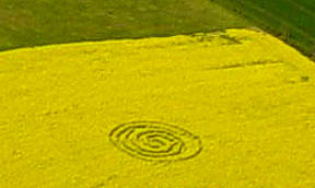 Spiral formation in yellow flowering oilseed rape reported on May 3, 2005, in Garsington, Oxfordshire. Aerial photograph © 2005 by Ellis Taylor, www.ellistaylor.com.