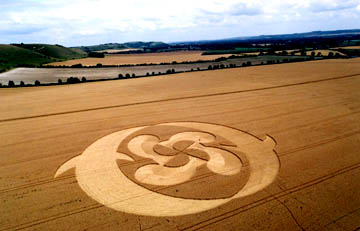 "Dolphins" below Golden Ball Hill near Alton Barnes, Wiltshire, reported on July 26, 2004. Aerial photograph © 2004 by Lucy Pringle.