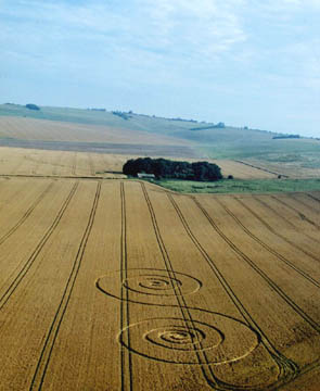 Avebury Down reported on July 26, 2004. Aerial photographs © 2004 by Lucy Pringle.