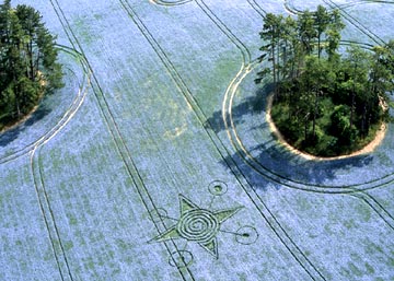 Dunley, Litchfield, Hampshire, England, reported July 9, 2003, in blue flowering flax. Aerial photograph © 2003 by Steve Alexander.