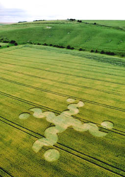 Pewsey White Horse is on the background hill beyond the "Axis Mundi" pattern reported July 20, 2004. Aerial photographs © 2004 by Lucy Pringle.