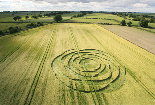 A 2015 Summer Solstice “rose,” June 21, 2015, appeared in a wheat farm in Uffcott, Wiltshire, southwest of Swindon, England. Aerial image © 2015 by Lucy Pringle.