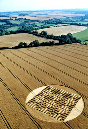 Savernake Forest Near Marlborough, Wiltshire, Reported July 28, 2004. Aerial photographs © 2004 by Lucy Pringle.