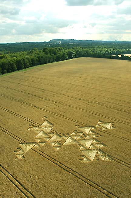 Seventy-eight triangles in fractal pattern were reported in Savernake Forest wheat field near Marlborough, Wiltshire, England, on July 19, 2005. Aerial image © 2005 by Cropcircleconnector.com.