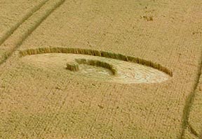 "Dot" and "Curve" inside circle on Scratchbury Hill near Warminster, Wiltshire, reported on July 25, 2004. Image © 2004 by Zoe Lacey.