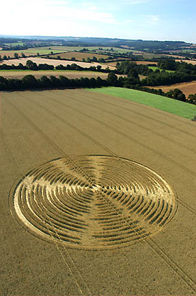 Above and below: "Digital disc" pattern about 150 feet in diameter reported August 9, 2005, in wheat, Shalbourne, Wiltshire, England. Aerial photographs © 2005 by Steve Alexander.
