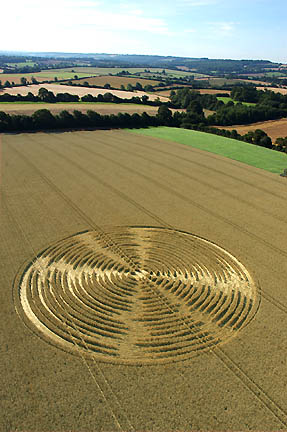 Above and below: "Digital disc" pattern about 150 feet in diameter reported August 9, 2005, in wheat, Shalbourne, Wiltshire, England. Aerial photographs © 2005 by Steve Alexander.