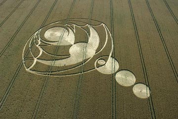 Second stage of Tan Hill wheat formation after change discovered on July 29, 2004. Aerial photograph © 2004 by Steve Alexander.