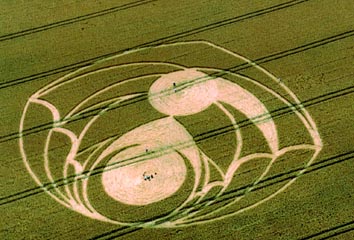 First stage of Tan Hill crop formation reported on July 28, 2004. Aerial photograph © 2004 by Lucy Pringle.