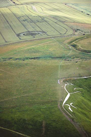 The elegant and ancient (est. 1400 to 800 B. C.) Uffington White Horse stretches along the ridge way above the wheat field to the north where a beautifully detailed "bird" in wheat was reported on July 8, 2006. Aerial image © 2006 by Cropcircleconnector.com.