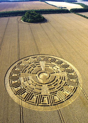 Wayland's Smithy ancient mound surrounded by trees behind "Mayan Calendar." The center standing crescent around downed wheat circle was interpreted by some as a solar eclipse on the Tzolkin calendar starting a new "zero day" of May 20. Aerial photograph © 2005 by Lucy Pringle.